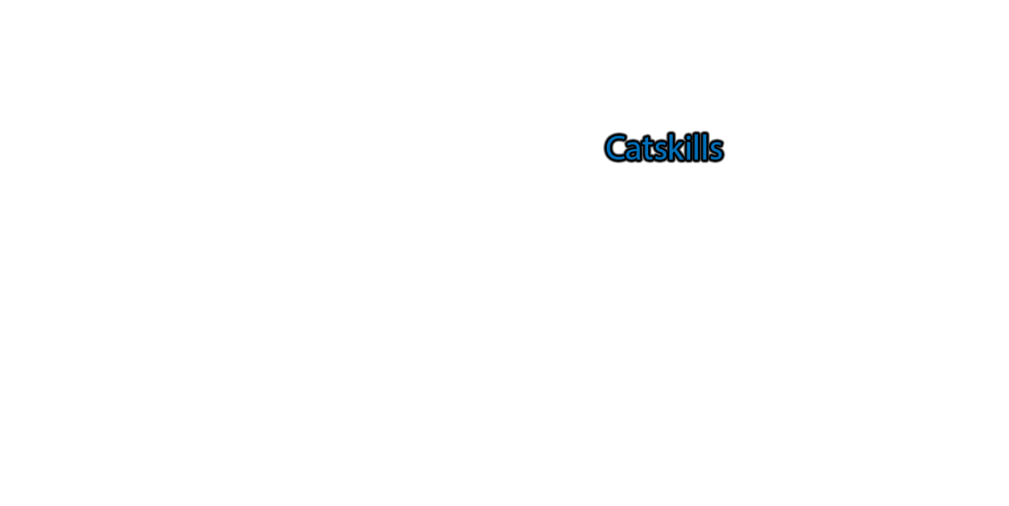 Catskills label with glow