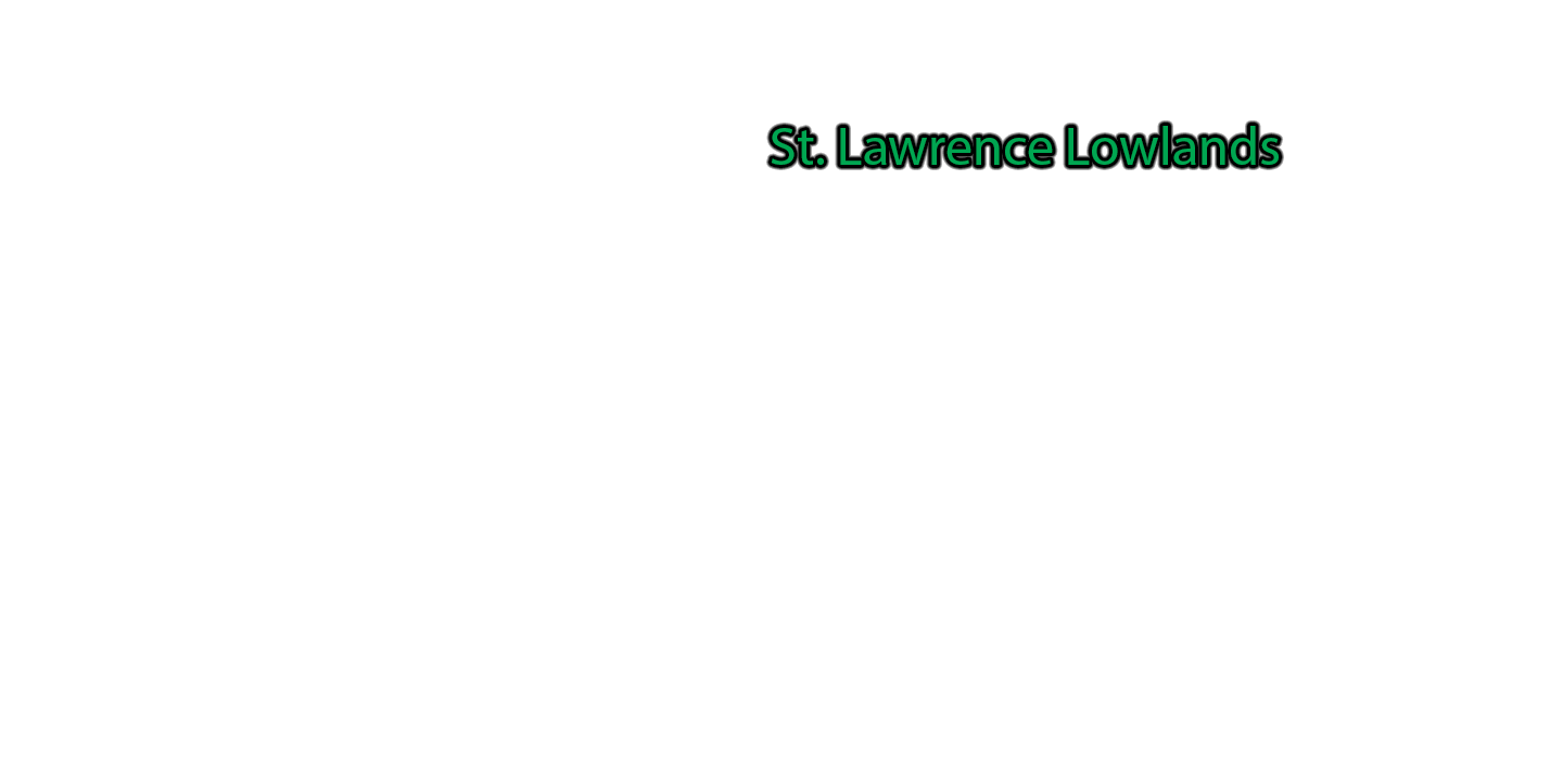 St.-Lawrence-Lowlands label with glow