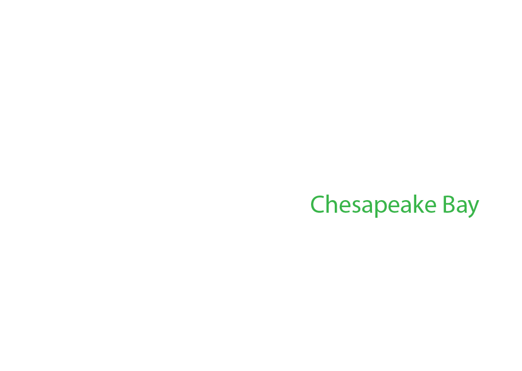 Chesapeake-Bay label