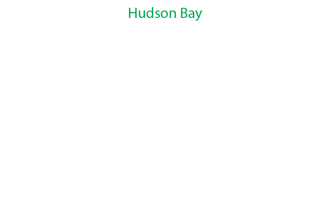 Hudson-Bay label