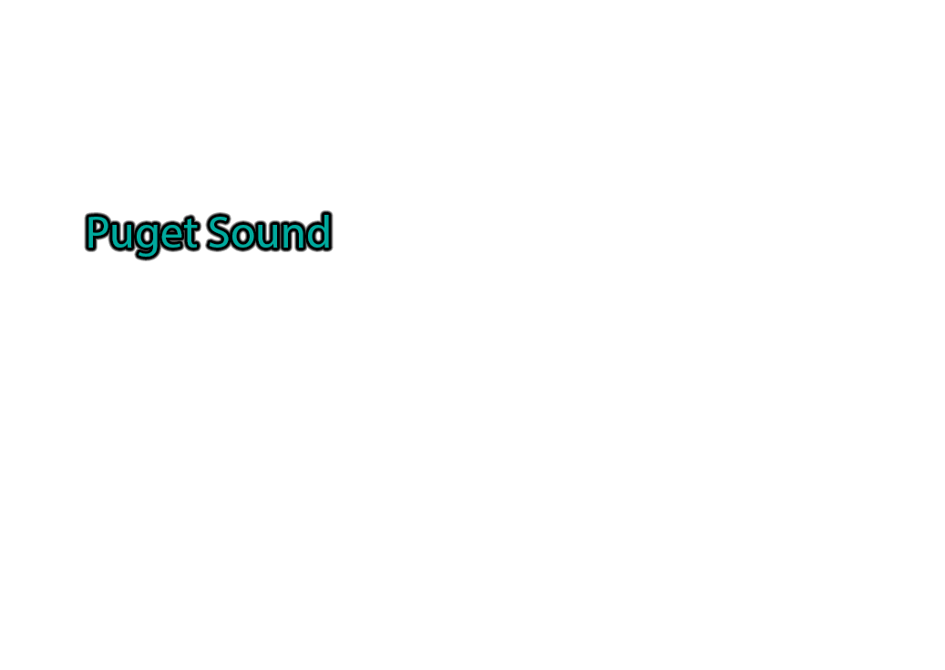 Puget-Sound label with glow