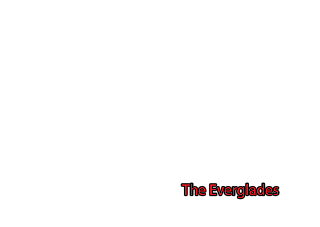 The-Everglades label with glow