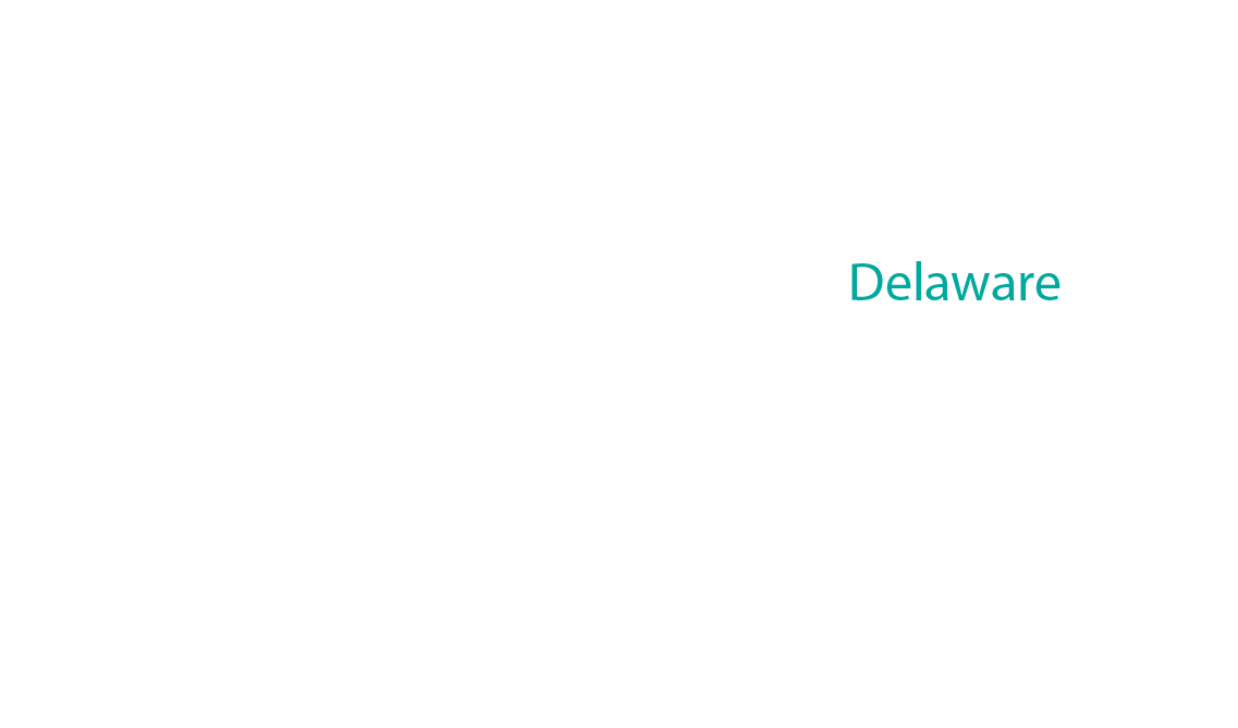 Delaware label