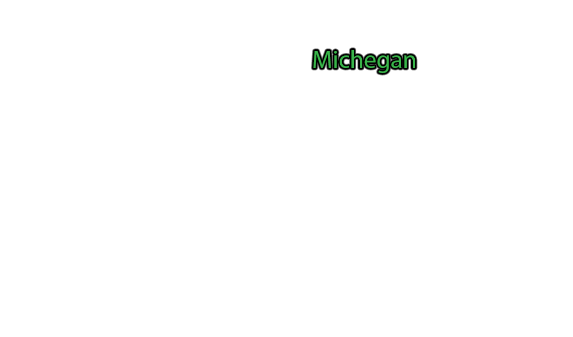 Michigan label with glow
