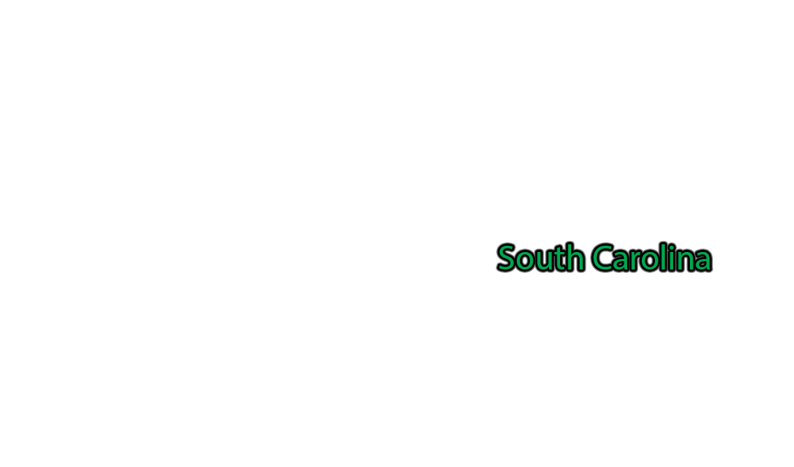 South-Carolina label with glow