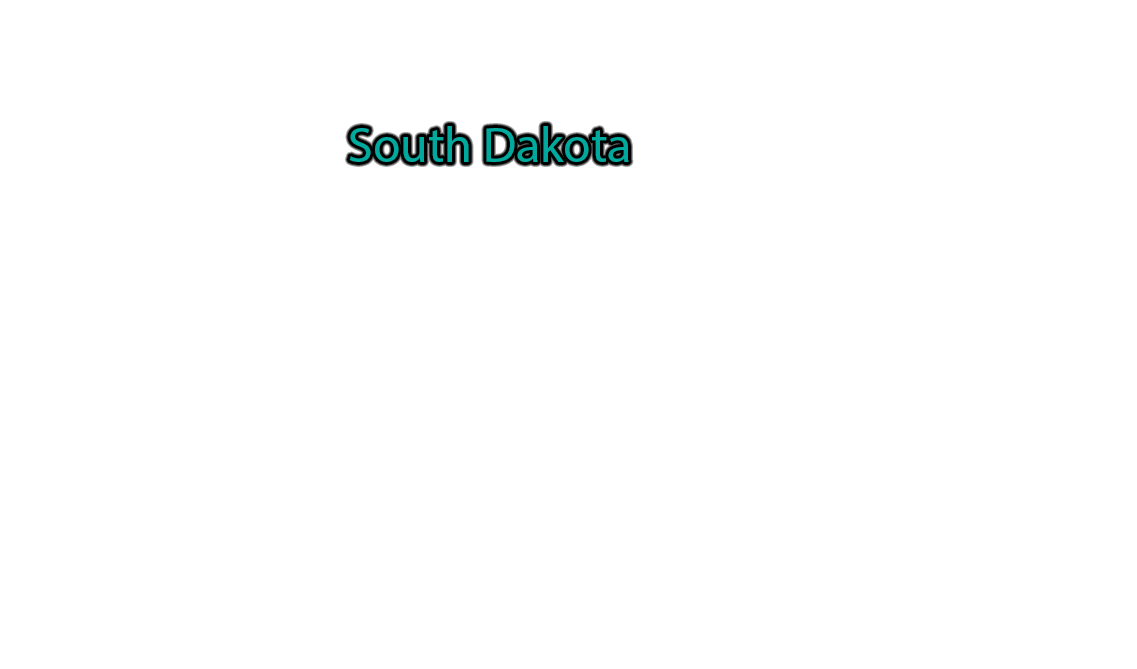 South-Dakota label with glow